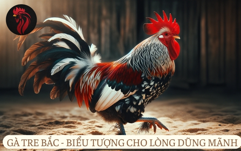 Gà tre bắc - biểu tượng cho lòng dũng mãnh.