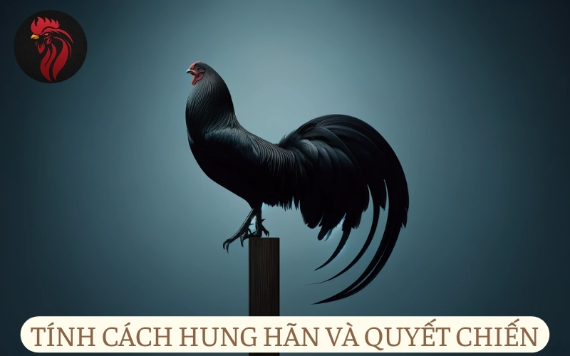 Tính cách hung hãn và quyết chiến như thế nào?